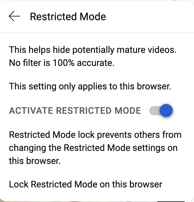 restricted mode activated